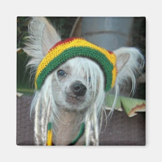 Een liefde Chinees Crested Rasta Hondenmagneet Magneet (Voorkant)