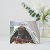 Een liefde voor moeders briefkaart (Staand voorkant)