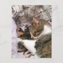 Een liefde voor moeders briefkaart