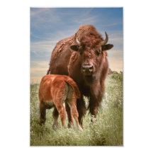 Een liefde voor moeders