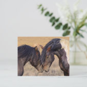 Een liefde voor paarden briefkaart (Staand voorkant)