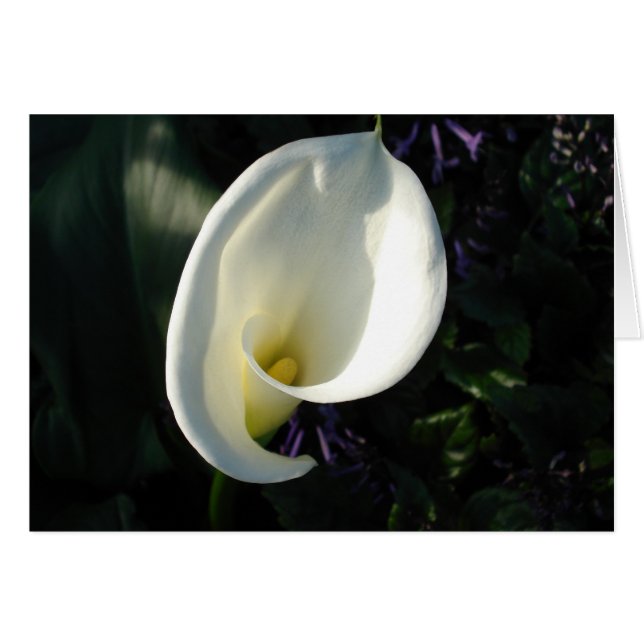 Een Lily van de Valley (Voorkant Horizontaal)