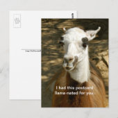Een llama-geciteerd grappig dierlijk briefkaart. P Briefkaart (Voorkant / Achterkant)