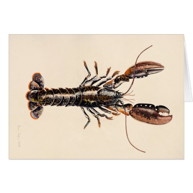 Een Lobster uit Solva (Voorkant Horizontaal)