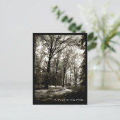 Een loop in het Park Briefkaart (Staand voorkant)