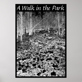 Een loop in het Park Poster
