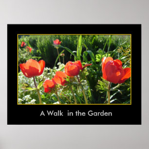 Een loopje in de tuin poster