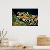 Een luipaard — Night Sky-druk Poster (Keuken)