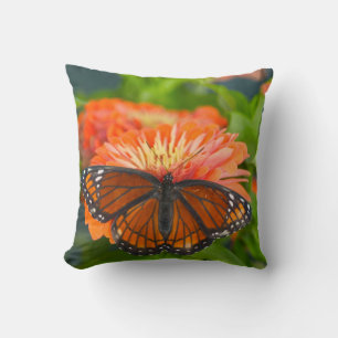 Een Luipaardvlinder op Oranje Zinnia's Kussen