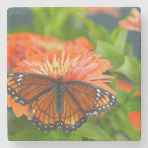 Een Luipaardvlinder op Oranje Zinnia's Stenen Onderzetter