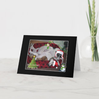 Een Lurcher Kerstmis Feestdagen Kaart