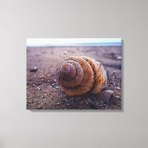 Een macroUitzicht van een wervelkolom Canvas Afdruk