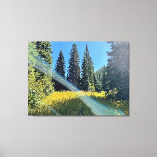 Een magisch bos canvas afdruk (Voorkant)