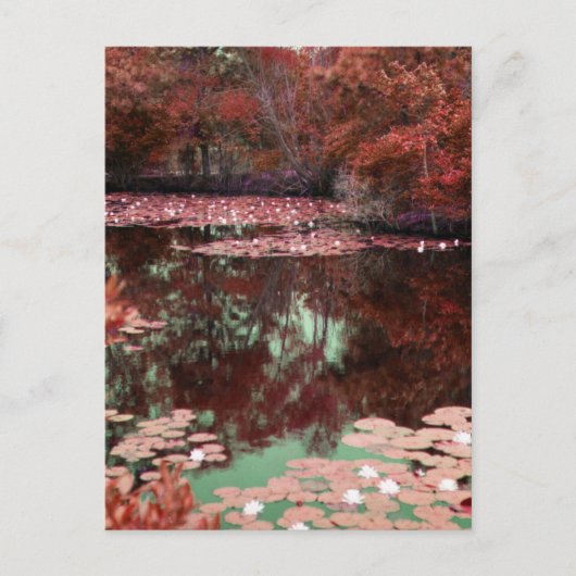 Een Magisch Landschap Briefkaart (Voorkant)