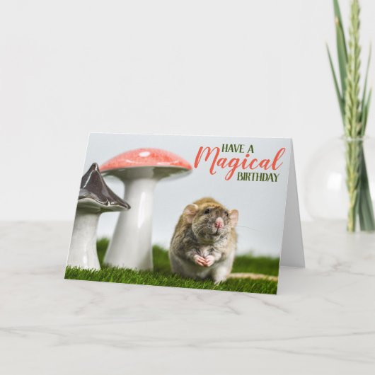 Een magische verjaardag kaart (Voorkant)