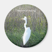 Een magnetronkel, een foto van een witte kraan.