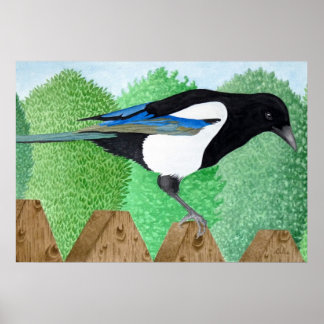 Een Magpie op een hek Poster
