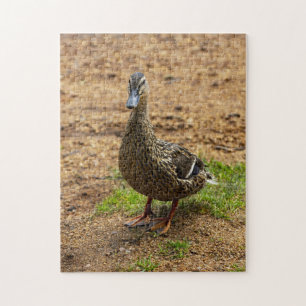 Een Mallard Duck Jigsaw puzzel