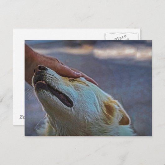 Een man en zijn hond, briefkaart (Voorkant / Achterkant)