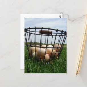 Een mand met verse boerderij-eieren in het gras briefkaart