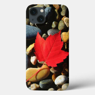 Een Maple-blad op een achtergrond iPhone 13 Hoesje