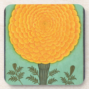 Een Marigold, van het Kleine Album Clive (w/c op p Drankjes Onderzetter