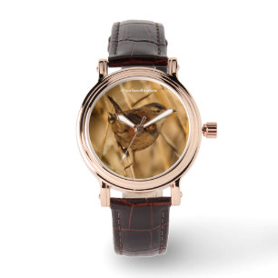 Een Marsh Wren in-Waar anders? - De Marsh? Horloge