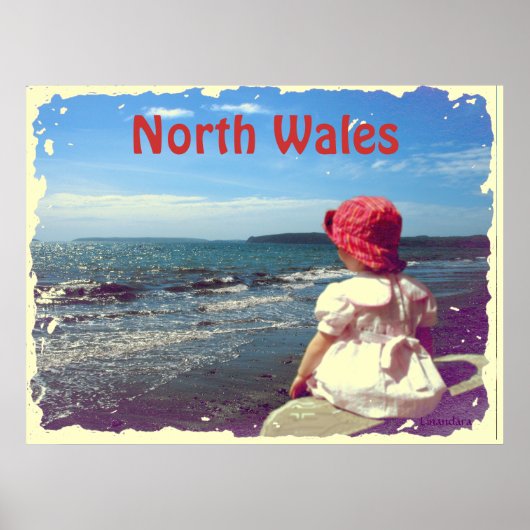 Een meisje van het Zee Poster (Voorkant)