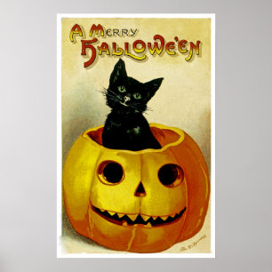 Een Merry Halloween Kitten Poster