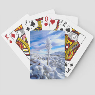 Een met sneeuw bedekte yucca speelkaarten