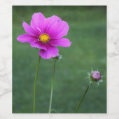 Een Mexicaanse Aster Wijn Etiket (Enkel label)