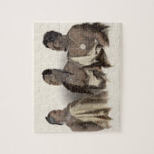 Een Missouri-Indiaan, een Oto-Indiaan en de chef-s Legpuzzel (Verticaal)