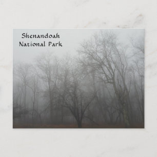 Een mistige dag op de Skyline Drive in Virginia Briefkaart
