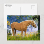 "Een Misty Morning"  Briefkaart (Voorkant / Achterkant)