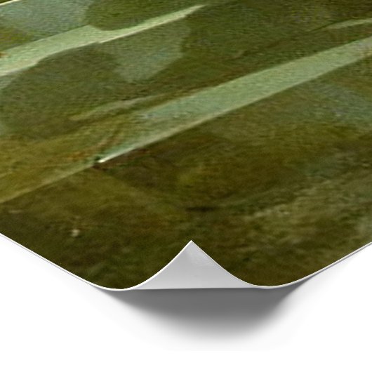 Een moeder die een papegaai presenteert aan een da poster (Hoek)