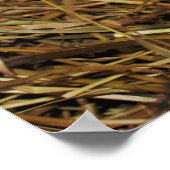 Een moeder en haar kuikens poster (Hoek)