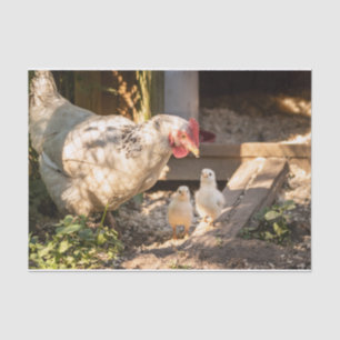 Een moeder kip met haar kip tissuepapier