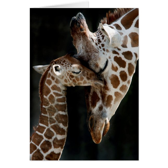 Een moederliefde (Voorkant)