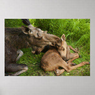 Een moederliefde poster