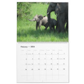 Een moederliefdeskalender kalender (Feb 2026)