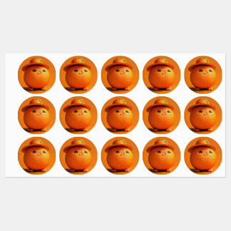 Een mollig Sinaasappel met Pet - Waterdichte Stick Labels