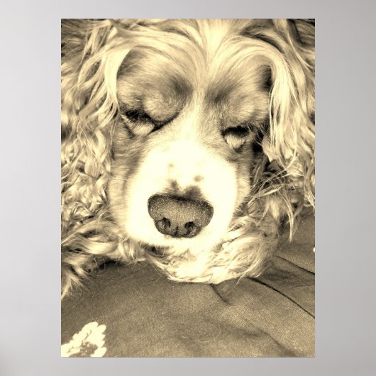 Een moment nemen poster (Voorkant)