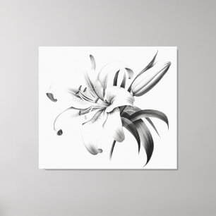 Een moment van bloei Lily Pencil Sketch Charcoal Canvas Afdruk