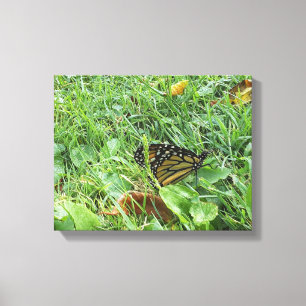 Een monarchvlinder canvas afdruk