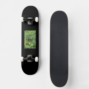 Een Monboogvlinder Skateboard