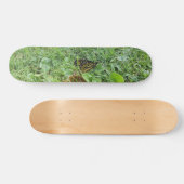 Een Monboogvlinder Skateboard (Horizontaal)
