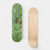 Een Monboogvlinder Skateboard (Voorkant)