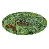 Een Monboogvlinder Snijplank (Hoek)