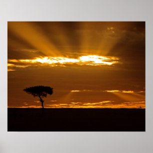 Een mond die de zonsopgang in de Maasai Mara opent Poster