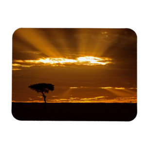 Een mond-openende zonsopgang in de Maasai Mara Magneet